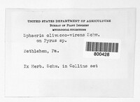 Image Associated With the Occurence
